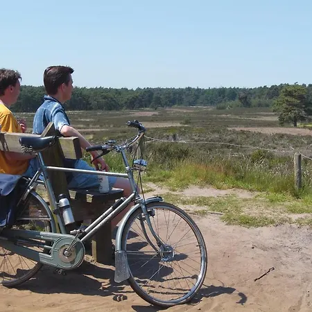 Bospark De Schaapskooi Holiday park Epe