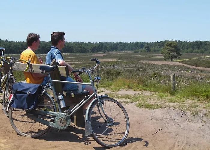 Roompot Bospark De Schaapskooi 假日公园 伊皮