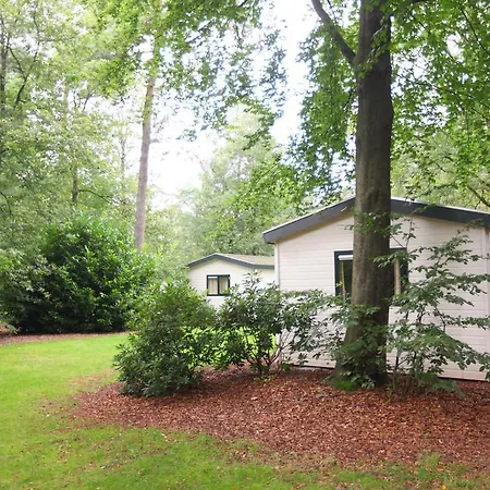 Roompot Bospark De Schaapskooi Kompleks wypoczynkowy Epe