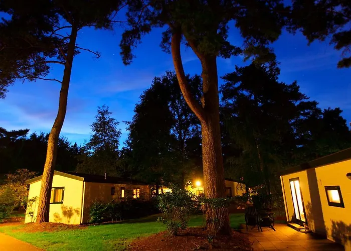 Roompot Bospark De Schaapskooi 홀리데이파크 에페