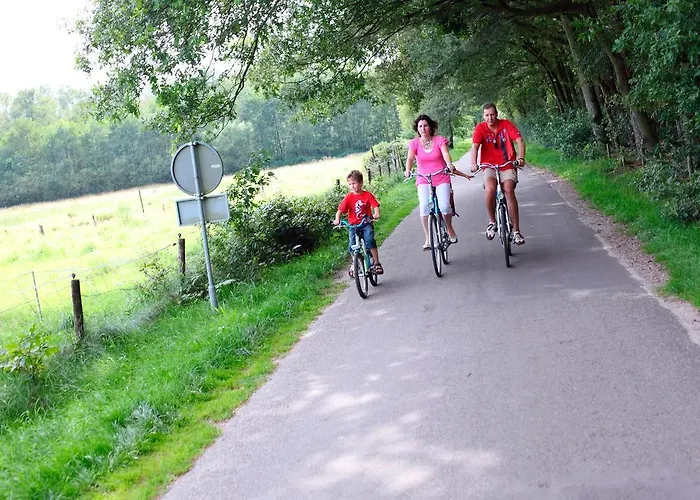 홀리데이파크 Roompot Bospark De Schaapskooi 에페